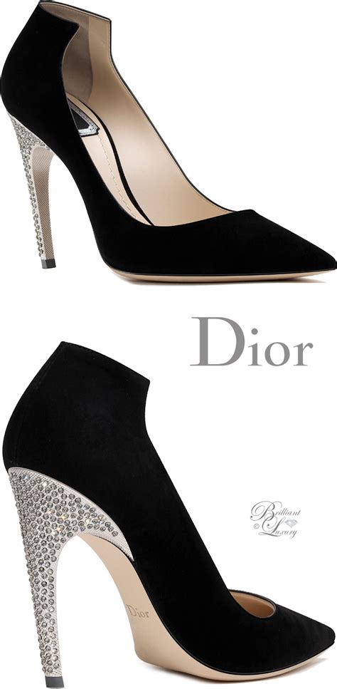 celine dior shoes|christian dior designer shoes.